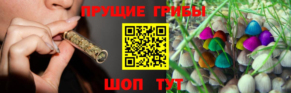 Псилоцибиновые грибы мицелий Анапа